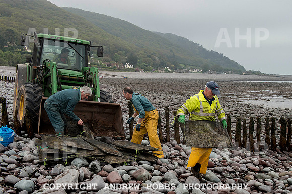 Porlock Oyster Beds 005