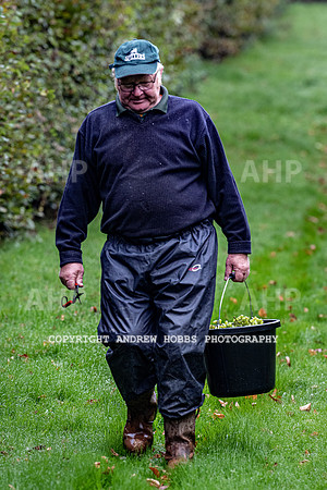 Wellhayes - Harvest 24  Oct 2019-9634