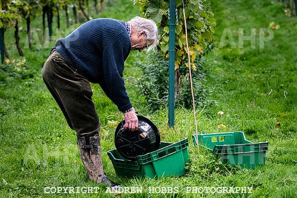 Wellhayes - Harvest 24  Oct 2019-9661