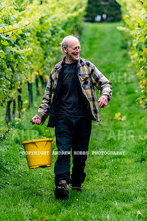 Wellhayes - Harvest 24  Oct 2019-9693