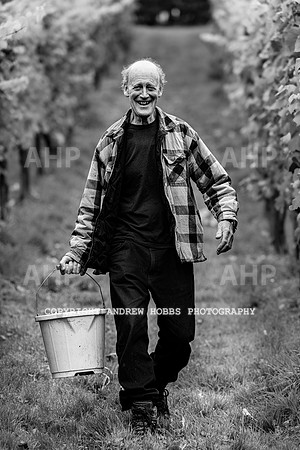Wellhayes - Harvest 24  Oct 2019-9694