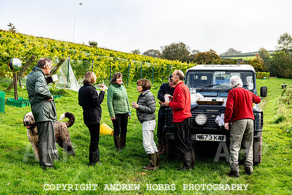 Wellhayes - Harvest 24  Oct 2019-9744