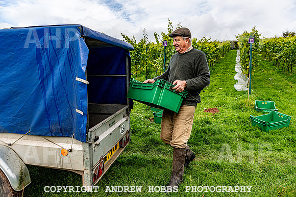 Wellhayes - Harvest 24  Oct 2019-9824