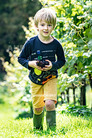 Wellhayes - Harvest 24  Oct 2019-9854
