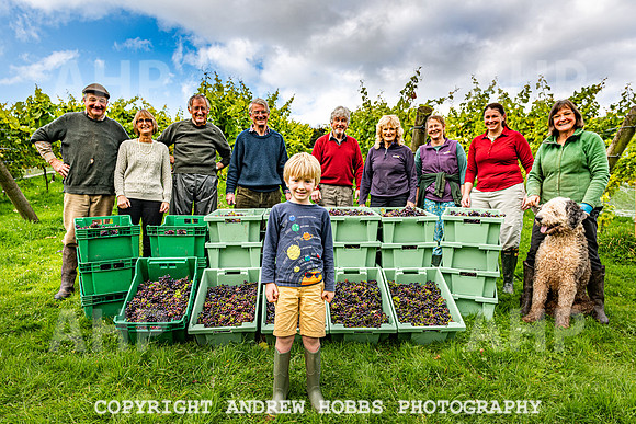 Wellhayes - Harvest 24  Oct 2019-9934