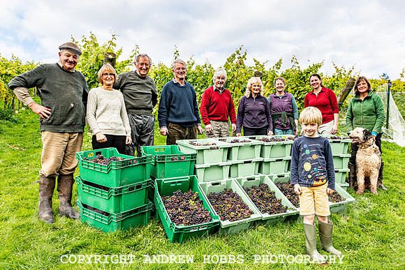 Wellhayes - Harvest 24  Oct 2019-9939