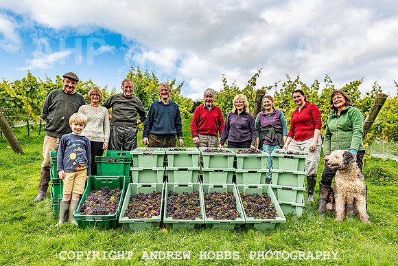 Wellhayes - Harvest 24  Oct 2019-9945