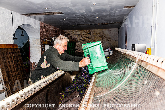 Wellhayes - Harvest 24  Oct 2019-9973
