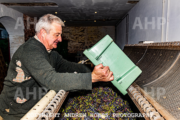 Wellhayes - Harvest 24  Oct 2019-0001