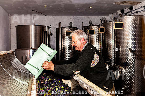 Wellhayes - Harvest 24  Oct 2019-0014