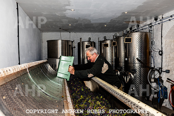 Wellhayes - Harvest 24  Oct 2019-0017