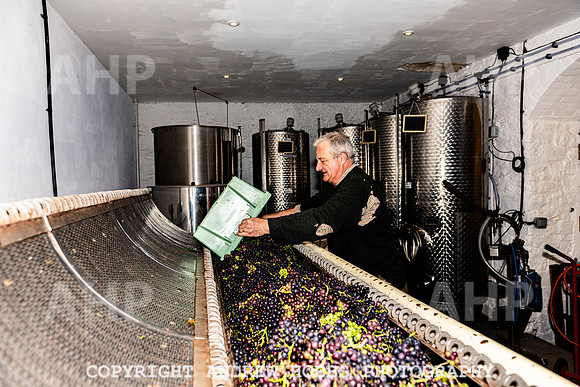 Wellhayes - Harvest 24  Oct 2019-0028