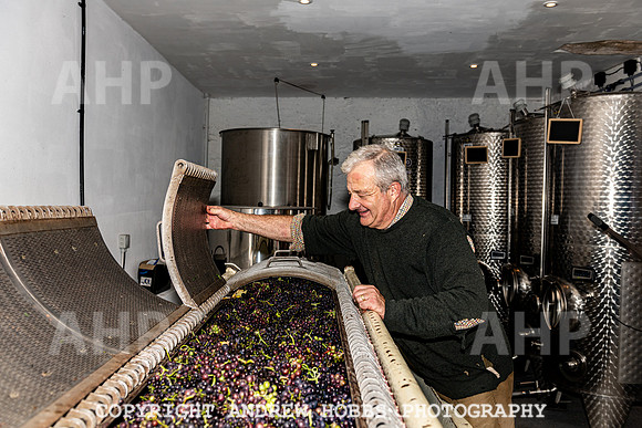 Wellhayes - Harvest 24  Oct 2019-0055