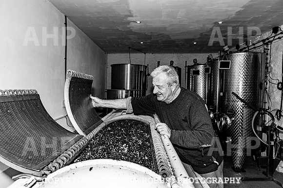 Wellhayes - Harvest 24  Oct 2019-0057