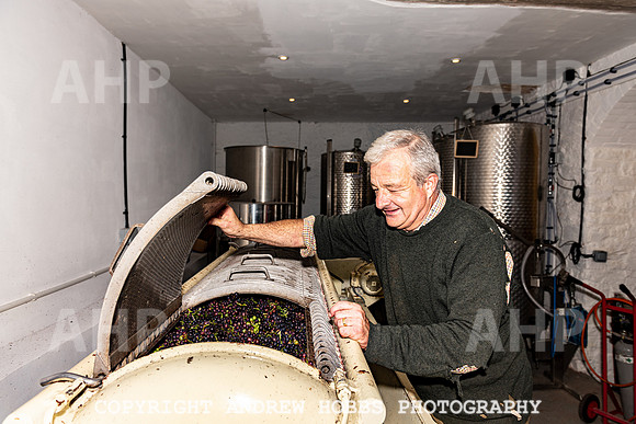 Wellhayes - Harvest 24  Oct 2019-0060