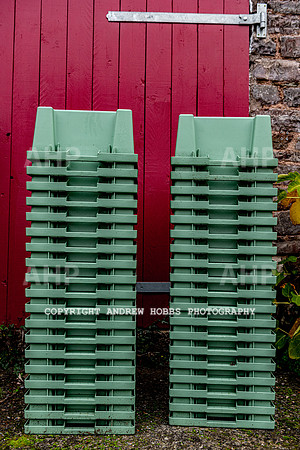 Wellhayes - Harvest 24  Oct 2019-9585