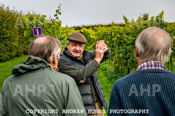 Wellhayes - Harvest 24  Oct 2019-9595