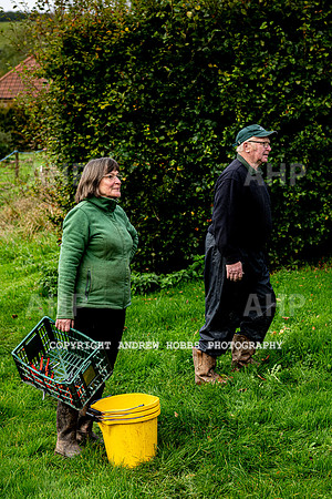 Wellhayes - Harvest 24  Oct 2019-9599