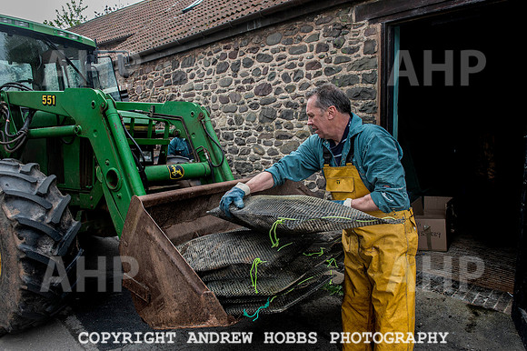 Porlock Oyster Beds 001