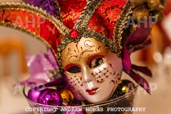 Masquerade Ball - Crowcombe Court Dec 2019-0219