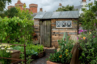 Taunton Flower Show 2014 004