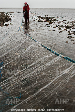 Stake-net Fishing Watchet 2014 021