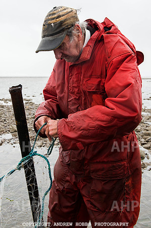 Stake-net Fishing Watchet 2014 014