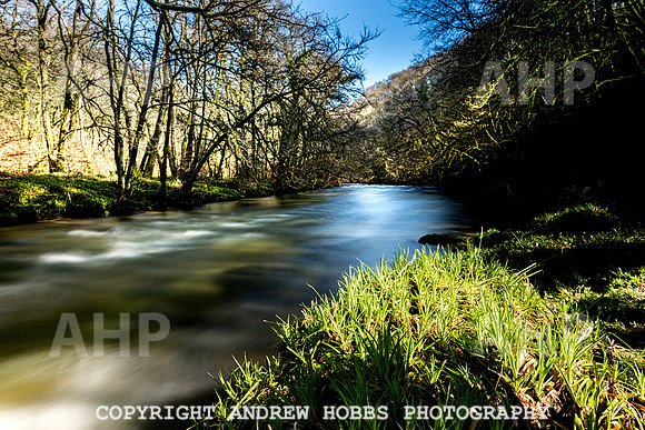 Marsh Bridge River Barle 16 Mar 2020-3179