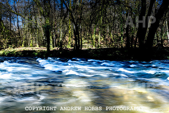 Marsh Bridge River Barle 16 Mar 2020-3174