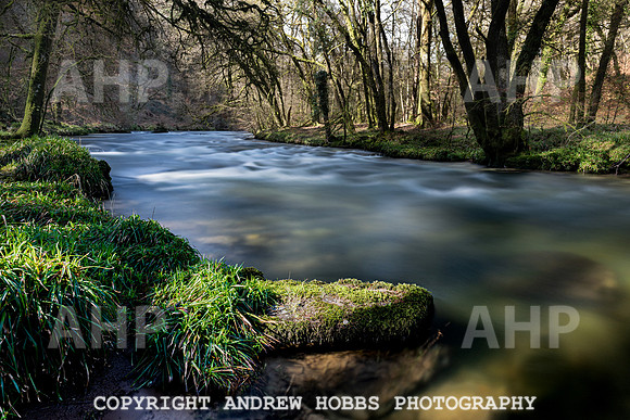 Marsh Bridge River Barle 16 Mar 2020-3198