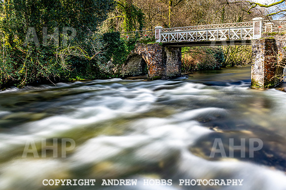 Marsh Bridge River Barle 16 Mar 2020-3122