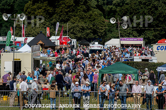 Dunster Show 2014 010