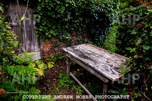 Geraldine Hollweg and Studio Aug 2020-3585