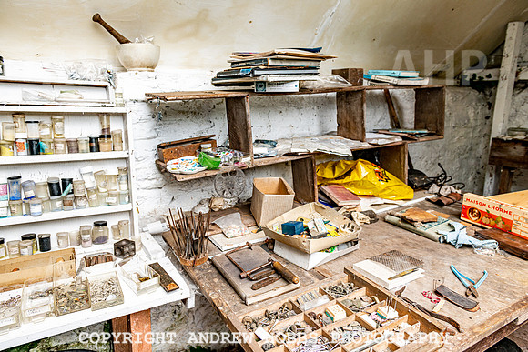 Geraldine Hollweg and Studio Aug 2020-3588