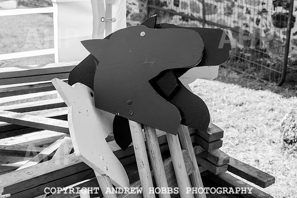 Wambrook Flower Show Centenary 003
