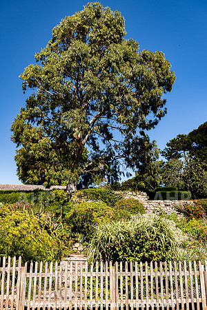Court House Garden - EM Sep 20-3885