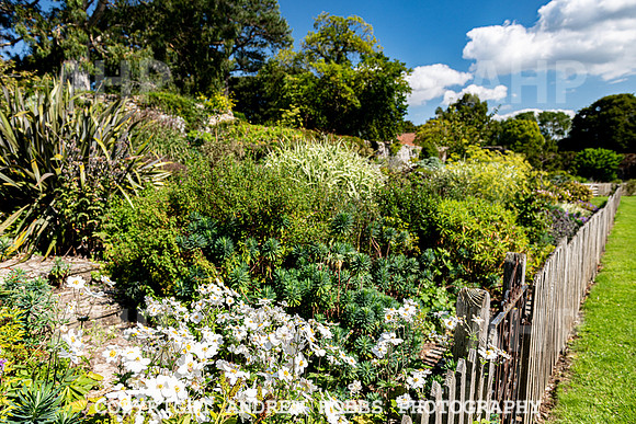 Court House Garden - EM Sep 20-3886