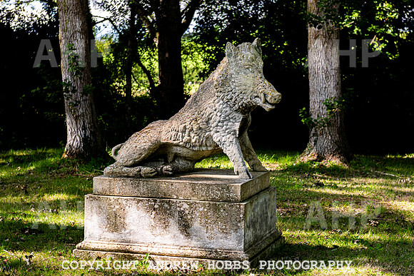 Court House Garden 1 Sep 2020 EM-3782