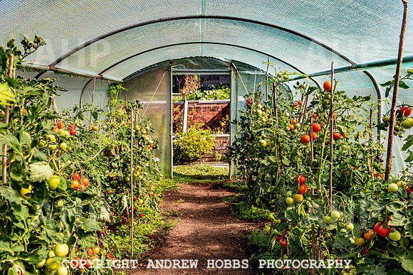 Court House Garden - EM Sep 20-3697