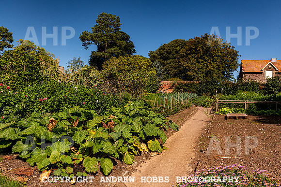Court House Garden - EM Sep 20-3699