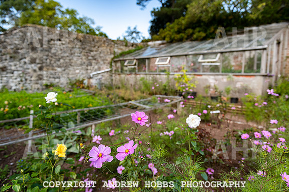 Court House Garden - EM Sep 20-3711