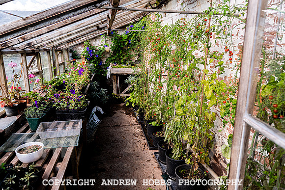 Court House Garden - EM Sep 20-3714