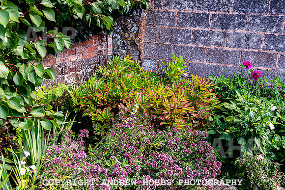 Court House Garden - EM Sep 20-3716