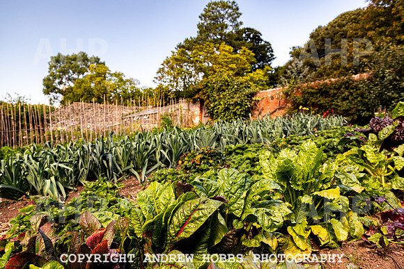 Court House Garden - EM Sep 20-3718