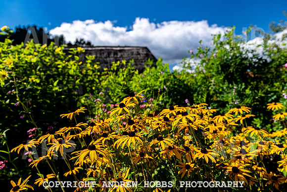 Court House Garden - EM Sep 20-3734