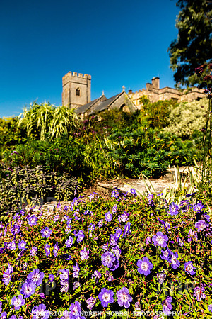 Court House Garden - EM Sep 20-3740