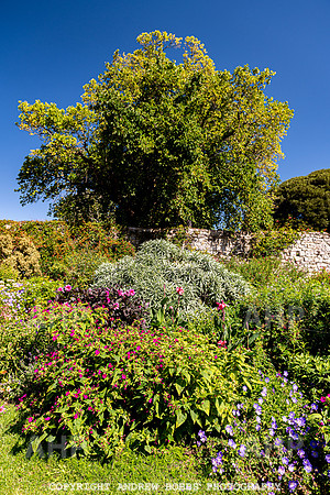 Court House Garden - EM Sep 20-3749