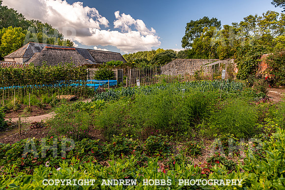 Court House Garden - EM Sep 20-3717