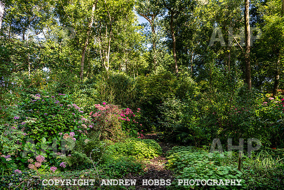 Court House Garden - EM Sep 20-3786