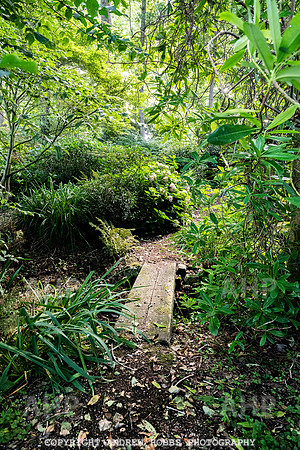 Court House Garden - EM Sep 20-3800